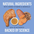 Natural Balance Specialized Nutrition Dry Dog Food Formula with Chicken and Oatmeal for Dogs, Joint Health & Muscle Health Dog, Natural Ingredients with Added Vitamins & Minerals - 22 lbs