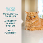 VetIQ Cat Probiotic Powder, Treats Diarrhea and Food Sensitivity, Chicken Flavored Single-Serve Packets for Indoor/Outdoor Use, 30 Count