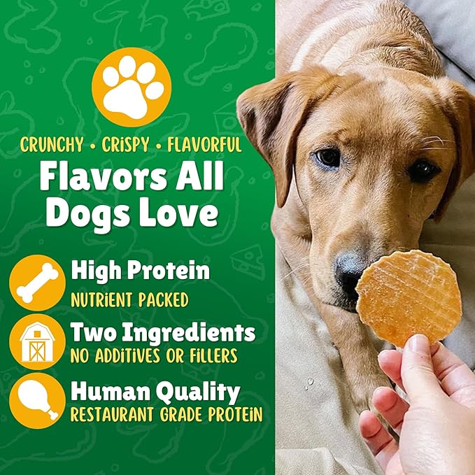 Chicken & Apple Chips Dog Treats – Made in USA, 100% Chicken Jerky, Grain-Free, High Protein, Single Ingredient, Crispy & Healthy Training Snacks for Dogs – 6 oz Jar