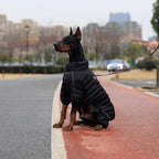 Warm Dog Coat, 4 Legs Covered Waterproof Windproof Reflective Vest, Zippered Adjustable Outdoor Snow Jacket for Small Medium Large Dogs Black M