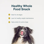 JustFoodForDogs Healthy Dog Treats, Limited-Ingredient, Chicken Apple Bark, Made in The USA, 5 oz