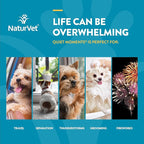 NaturVet Quiet Moments Calming Aid Melatonin Dog Supplement – Helps Reduce Stress in Dogs – for Pet Storm Anxiety, Motion Sickness, Grooming, Separation, Travel – 30 Ct. Tablets