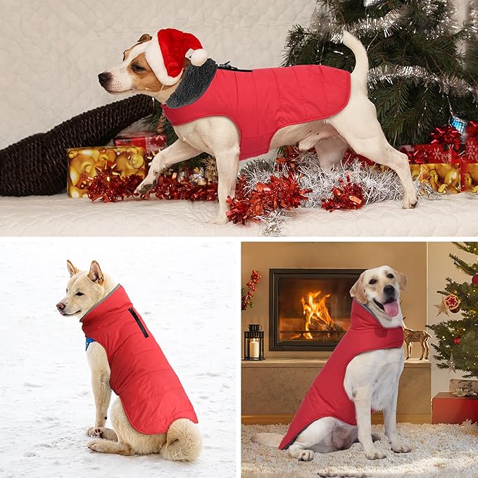 Dog Winter Coat, Waterproof Dog Jacket with Leash Hole, Reflective Adjustable Pet Snow Vest, Warm Fleece Sweater for Small Medium Large Dogs - Red, L