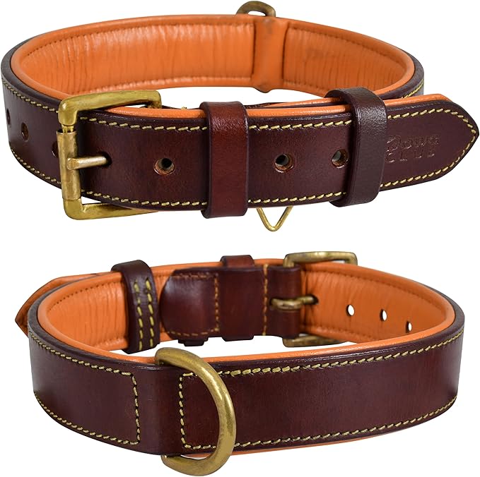Leather Dog Collar | Leather Collar for Extra Large Dogs, 1.5 Inch Wide Brown Dog Collar | Genuine, Full Grain, Heavy Duty, Comfortable, Padding | (X-Large (Fit Neck Size 22"-26"), Brown)