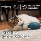 Big Fish Cat Kicker Toy - Refillable Catnip Matatabi Silvervine Filled and Help Relief Anxiety - Kitten Catnip Essentials Treats Supplies Large Interactive Chew for Indoor Cat (Blue)