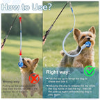 Flirt Pole for Dogs Interactive Dog Pole Toy for Large Medium Small Dogs, Sports Dog Teaser Pole for Tug of War, Flirt Pole with Lure Ball (Standard Pole + Elastic Rope)