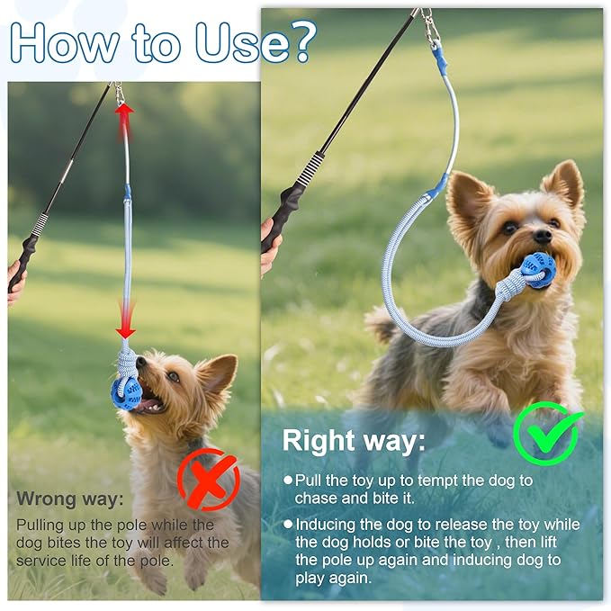 Flirt Pole for Dogs Interactive Dog Pole Toy for Large Medium Small Dogs, Sports Dog Teaser Pole for Tug of War, Flirt Pole with Lure Ball (Standard Pole + Elastic Rope)