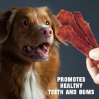 Beloved Pets Dog Treats Duck Jerky 1.5 LB - Human Grade Pet Snacks - Natural High Protein Meat Dried Strips - Best Chews for Training Small & Large Dogs - Bulk Soft Pack