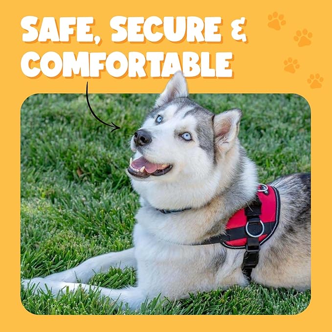 Bark Appeal Blue Hibiscus No-Pull Dog Harness for Large to Extra Large Sized Pets – Adjustable, Reflective Vest with 3 Leash Clips for Added Control, Easy Walks & Training – XL