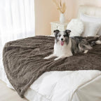 gogobunny Waterproof Dog Blanket for Large Dogs, Cats, Puppy, Reversible Faux Fur Pet Throw Blanket, Washable, Calming Furniture Protection for Sofa Bed (40x50 Inch (Pack of 1), Stone)