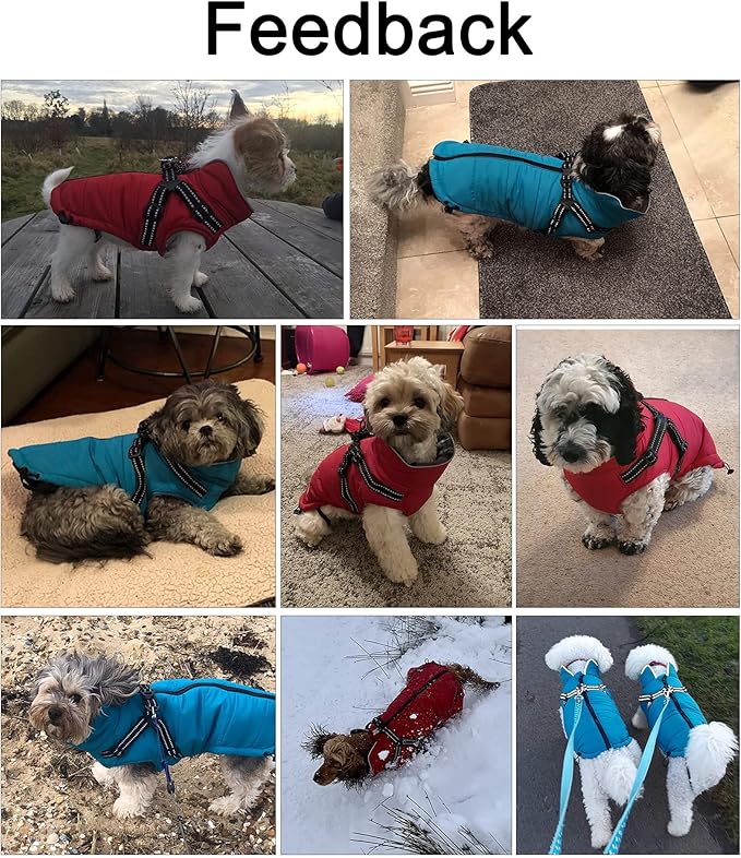 Geyecete Winter Warm Coat Waterproof Dog Winter Jacket with Harness Traction Belt,Pet Outdoor Jacket Dog Autumn and Winter Clothes for Medium, Small Dog-Blue-XL