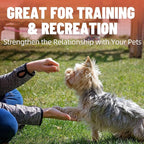 Just Try 6 oz Freeze-Dried Chicken Heart Dog & Cat Treats - Single Ingredient, Grain-Free, High Protein Training Treats Snacks