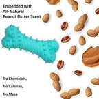 Playology Dog Toys | Puppy Toy Teething Bone Designed for Young & Active Dogs | Jumbo Peanut Butter Scented Toy Made from Non Toxic Materials