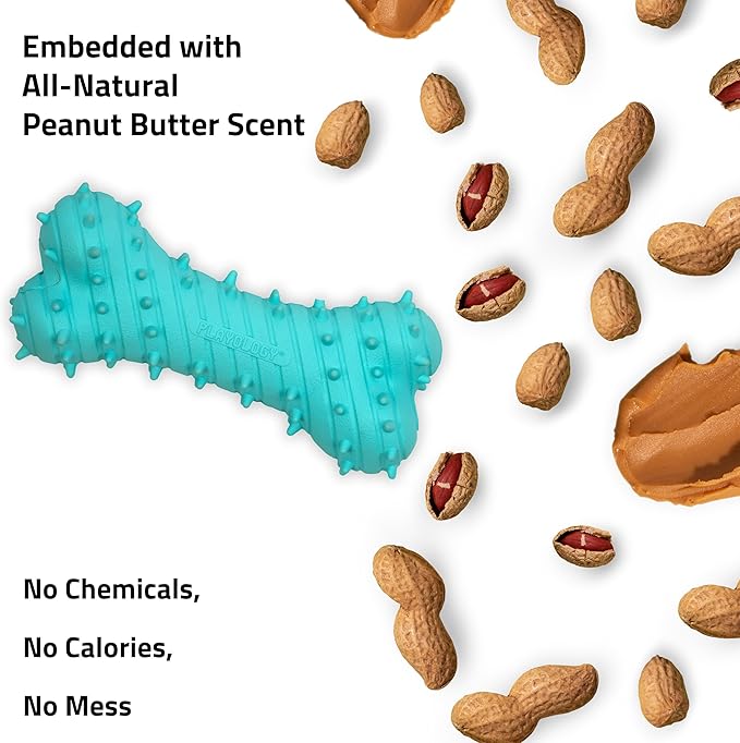 Playology Dog Toys | Puppy Toy Teething Bone Designed for Young & Active Dogs | Jumbo Peanut Butter Scented Toy Made from Non Toxic Materials