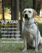lynxking 8 FT Dog Leash Slip Lead 2 Pack Strong Heavy Duty Braided Dog Training Leash No Pull Training Lead Leashes for Medium Large and Small Dogs
