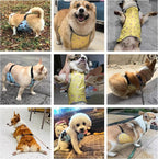 Waterproof Belly Shield for Corgis & Dachshunds – Adjustable underbelly Protector. Male/Female Designs. Stays Dry in rain, mud & Grass. Ideal for Sensitive Skin (Yellow - Female, L)