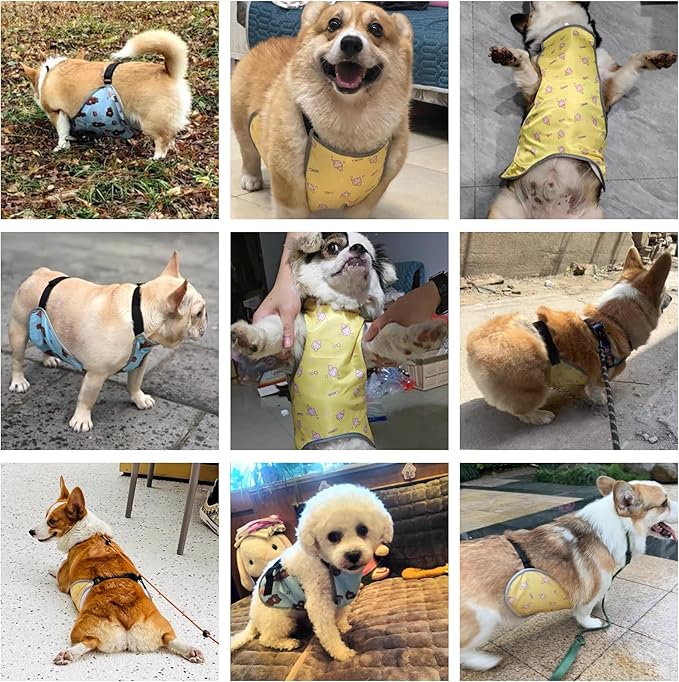 Waterproof Belly Shield for Corgis & Dachshunds – Adjustable underbelly Protector. Male/Female Designs. Stays Dry in rain, mud & Grass. Ideal for Sensitive Skin (Yellow - Male, M)