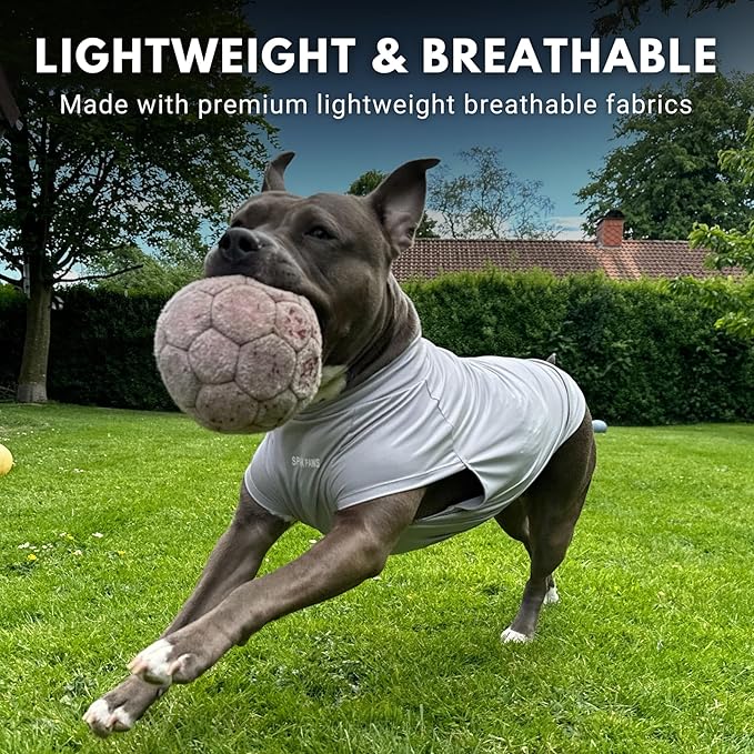 Spark Paws Sunblock Dog T-Shirt, SPF30 Protection, Lightweight Breathable Quick Dry for Dogs with Sensitive Skin - Blue & Grey (Set of 2) - M