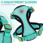 PUPTECK Cat Harness and Leash Set Escape Proof Reflective Cat Walking Harness Adjustable Soft Breathable Mesh Vest for Small Pets, Aquamarine, M