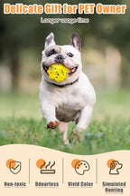 Dog Tennis Balls for Aggressive Chewers, Indestructible Durable Bouncy Interactive Toy for Dogs Fetch Game Lightweight Floating Outdoor Training(2 Yellow Point+ 2 Blue Circle Large)