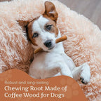 Wildfang® Coffee Wood Dog Chew, XS - Tough Chew Toys for Aggressive Chewers, Dog Teething Toys for Puppies, Training for Chewing Muscles, Coffee Tree Sticks for X-Small Dogs (Under 22 lbs)