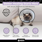 Cat Recovery Cone Kit Post Surgical Soft Pet Vest, Collar, and Non-Irritating Protection Cone for Cats - Comfortable Injury Care Solution (Black with White Paws, Medium)