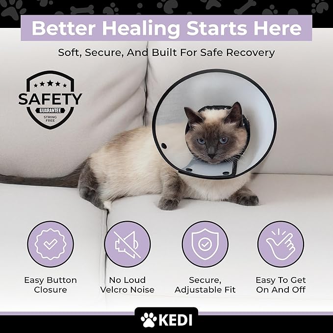 Cat Recovery Cone Kit Post Surgical Soft Pet Vest, Collar, and Non-Irritating Protection Cone for Cats - Comfortable Injury Care Solution (Black, S)