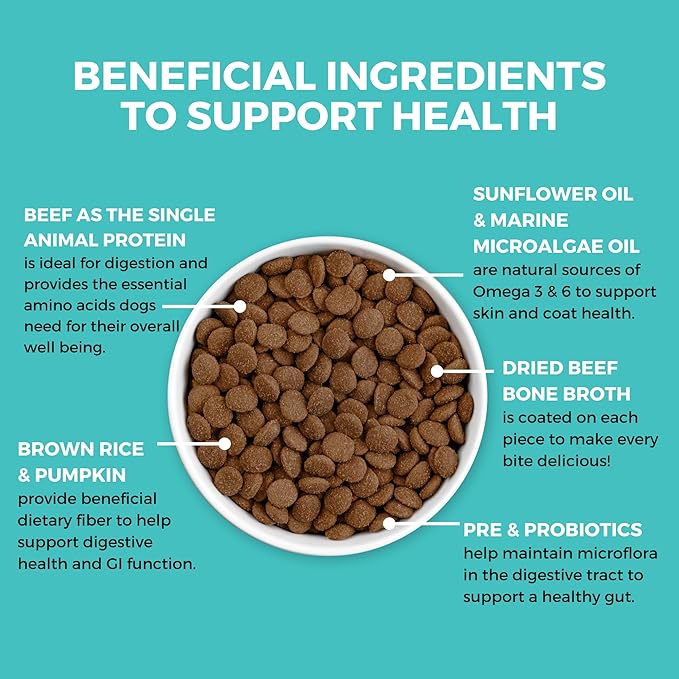 KOHA Limited Ingredient Bland Diet Dry Food for Dogs - Beef & Brown Rice Recipe, Sensitive Stomach Dog Food - Pumpkin for Digestive Support, 3.5 lbs