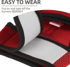 PUPTECK Soft Mesh Cat Vest Harness and Leash Set Puppy Padded Pet Harnesses Escape Proof for Cats Small Dogs Rabbits Bunny