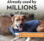 ThunderShirt for Dogs, Small, Blue Polo - Dog Anxiety Relief Calming Vest