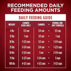 Purina ONE High Protein Wet Dog Food True Instinct Tender Cuts in Dog Food Gravy With Real Chicken and Duck - (Pack of 12) 13 oz. Cans