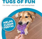 Outward Hound 2-in-1 Dental Dog Chew Wheel Ring & Rope Tug Toy for Teething Puppies & Dogs, Mint-Scented & Teeth-Cleaning, 9-Inch, Purple