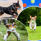 Liliful 50 Pieces 2.5'' Dog Squeaky Tennis Balls for Pet Playing Medium Large Dogs Puppy Balls for Training Toy with Squeaker Easy Fetch Play Exercise(Multicolor)