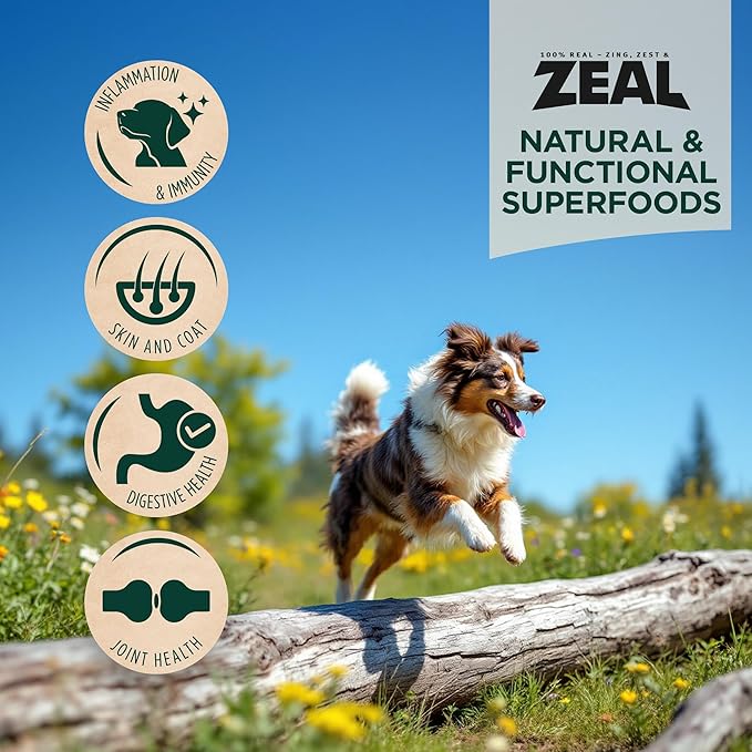 ZEAL Canada Air-Dried Beef Recipe for Dogs - High Protein, Natural Superfoods, Nutrient Rich, No Fillers, Grain Free, Complete & Balanced (Beef, 5 oz)