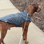Mile High Life Dog Raincoat, Adjustable Waterproof Reflective Rain Jacket for Small Medium Large Dogs, Lightweight Breathable Pet Rain Coat with Leash Hole(Dark Gray,M Chest 26-32")