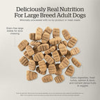 Now Fresh Grain-Free Large Breed Dry Dog Food with Turkey, Salmon & Duck, Premium Kibble for Adults Made with Real Meat & Fish, Chicken-Free, Glucosamine & Chondroitin for Healthy Joints, 25 lb Bag