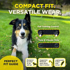 Dogtra 200iQ Remote Training E Collar – 100 Levels, Tone, Vibration, 1/2 Mile Range – Compact, Waterproof, One-Handed Control for Dogs 10 lbs+ – Lightweight Design for Daily Training – Zebra
