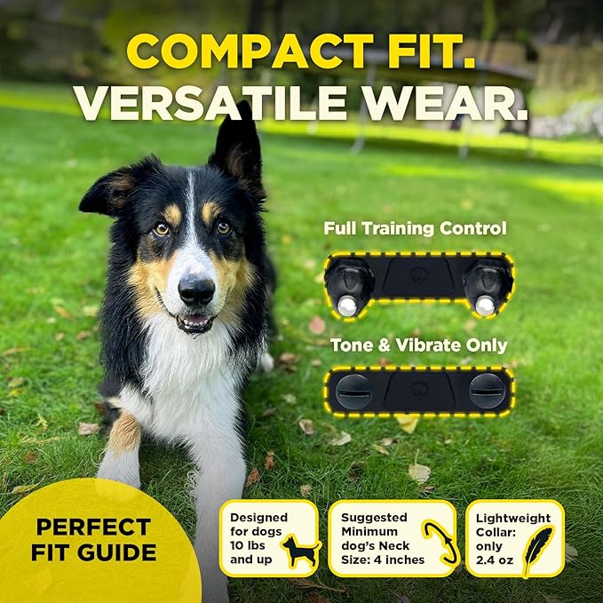 Dogtra 200iQ 2-Dog Remote Training E Collar – 100 Levels, Tone, Vibration, 1/2 Mile Range – Compact, Waterproof, One-Handed Control for Dogs 10 lbs+ – Lightweight System for Daily Obedience Training