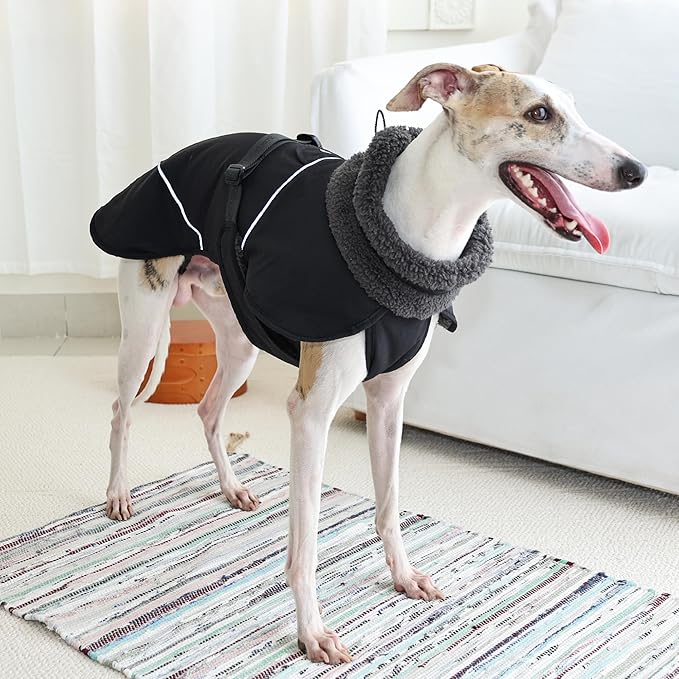 Adjustable Dog Coat with Harness Slot, Waterproof Fleece Lined Winter Jacket, Windproof Reflective Pet Vest for Cold Weather for Small Medium Large Dogs (Black, Medium)