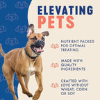 Finley's Hearty Selects Dog Treats, Hearty Selects Salmon, Sweet Potato, and Flax Seed, Soft-Baked, Functional Ingredients, Made in USA, 12 Ounce (Pack of 1)