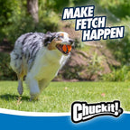 Chuckit! Ultra Ball Dog Toy - Medium Bouncy Fetch Balls for Dogs 20-60 lbs - Made from Durable Rubber - Floating Water Pet Toys - Size Medium - 2.5-inch Diameter - Pack of 8