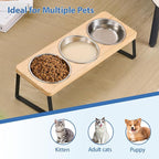 Elevated Cat Bowls, 15° Tilted Raised Cat Food and Water Bowl, Anti-Vomit & Whisker-Friendly Design, 3 Stainless Steel Bowls for Cats and Small Dogs