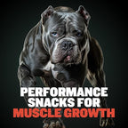 Bully Max Premium High Protein Dog Treats for Puppy & Adult Dogs - Training Dog Food Treats with 32% Protein, Real Meat, Veggies & BCAAs for Small, Medium & Large Breeds - Beef Flavor (2 Pack)