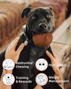 Giggle Ball for Dogs Owl Toys for Aggressive Chewers Dog Ball Toy for Puppy Medium Large Dogs Fun Gift for Dog Natural Rubber Cute Hoot Brown
