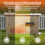 BRIOPAWS Feral-Outdoor-Cat-House-Insulated | Outside-Cat-Shelter for Winter | Weatherproof | Large Wooden Pet House for Multiple Cats | Foldable Ladder | Acrylic Side Window | Brown