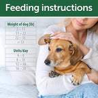 Nature's Protection Grain Free Low Calorie Dog Treats - Training Dog Treats for Adult Small, Medium & Large Breed Dogs with Red Fur (Superior Care - Herring, 5.29 oz)