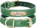 Didog Genuine Leather Dog Collars with Engraved Nameplate, Personalized Soft Leather Dog Collar with Custom ID Tag, Brown/Green/Red for Small Dogs (S,Green)