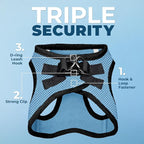Best Pet Supplies Voyager Step-in Air Harness - All Weather Mesh, Reflective, No Pull Harness for Dogs, Cats - Secure with Hook & Loop Fastener, Buckle, Double D-Rings - Baby Blue/Black Trim, L