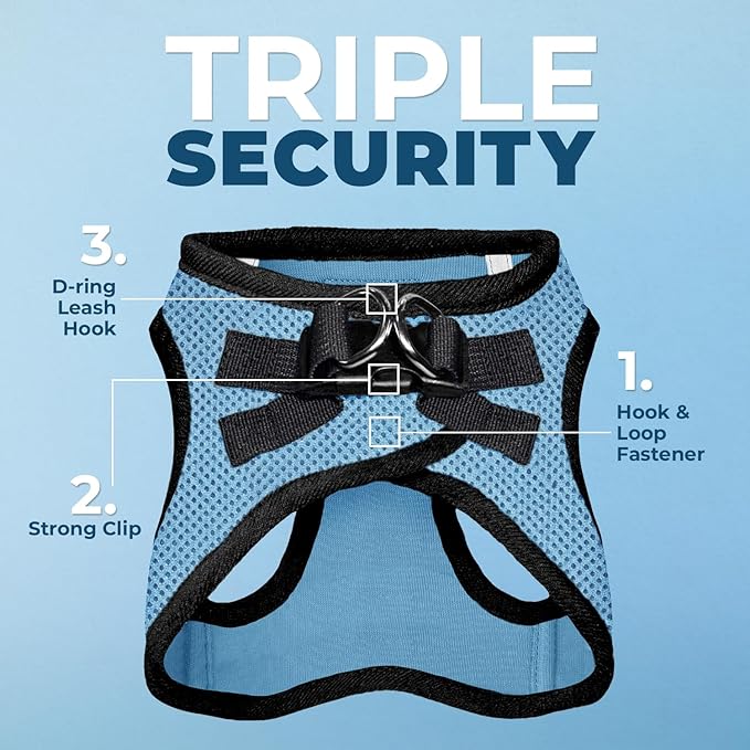 Best Pet Supplies Voyager Step-in Air Harness - All Weather Mesh, Reflective, No Pull Harness for Dogs, Cats - Secure with Hook & Loop Fastener, Buckle, Double D-Rings - Baby Blue/Black Trim, XXS