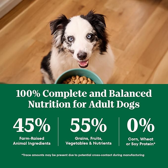 Nutro Natural Choice Chicken & Brown Rice Adult Dry Dog Food Recipe, 36 lb. Bag